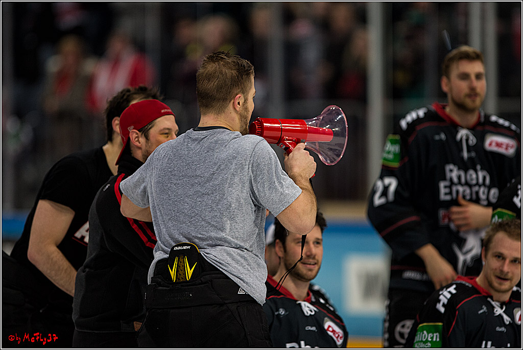 DEL, Koelner Haie - Augsburger Panther, 13.01.2017